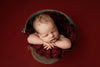 Chandler | Weathered Brick-Fabric-Backdrop, Boy, Category_Smooth, Color_Orange, Color_Red, Girl, Line_Chandler-Hello Little Props