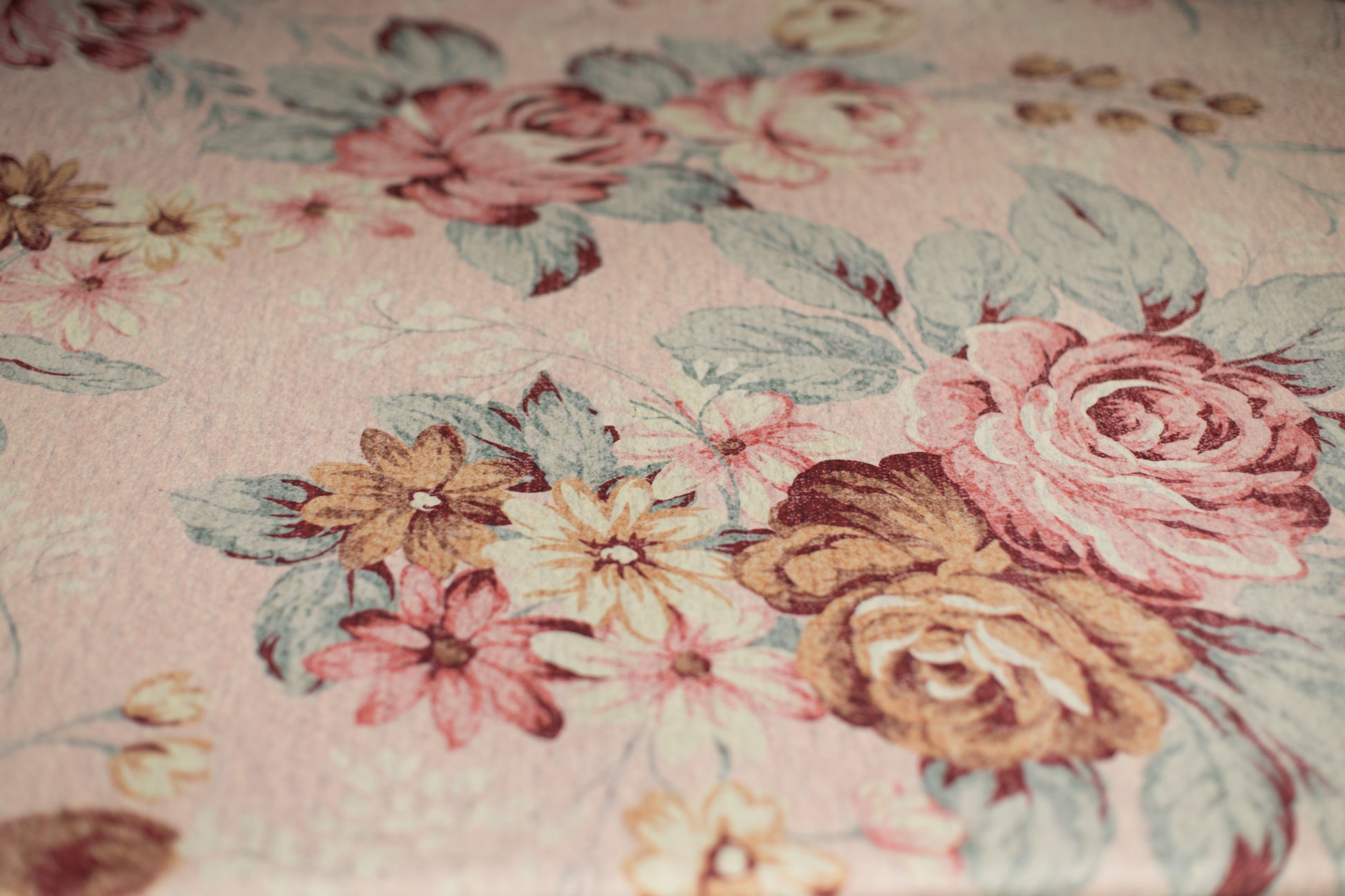 Princess Joey | Pretty Granny (Preorder)