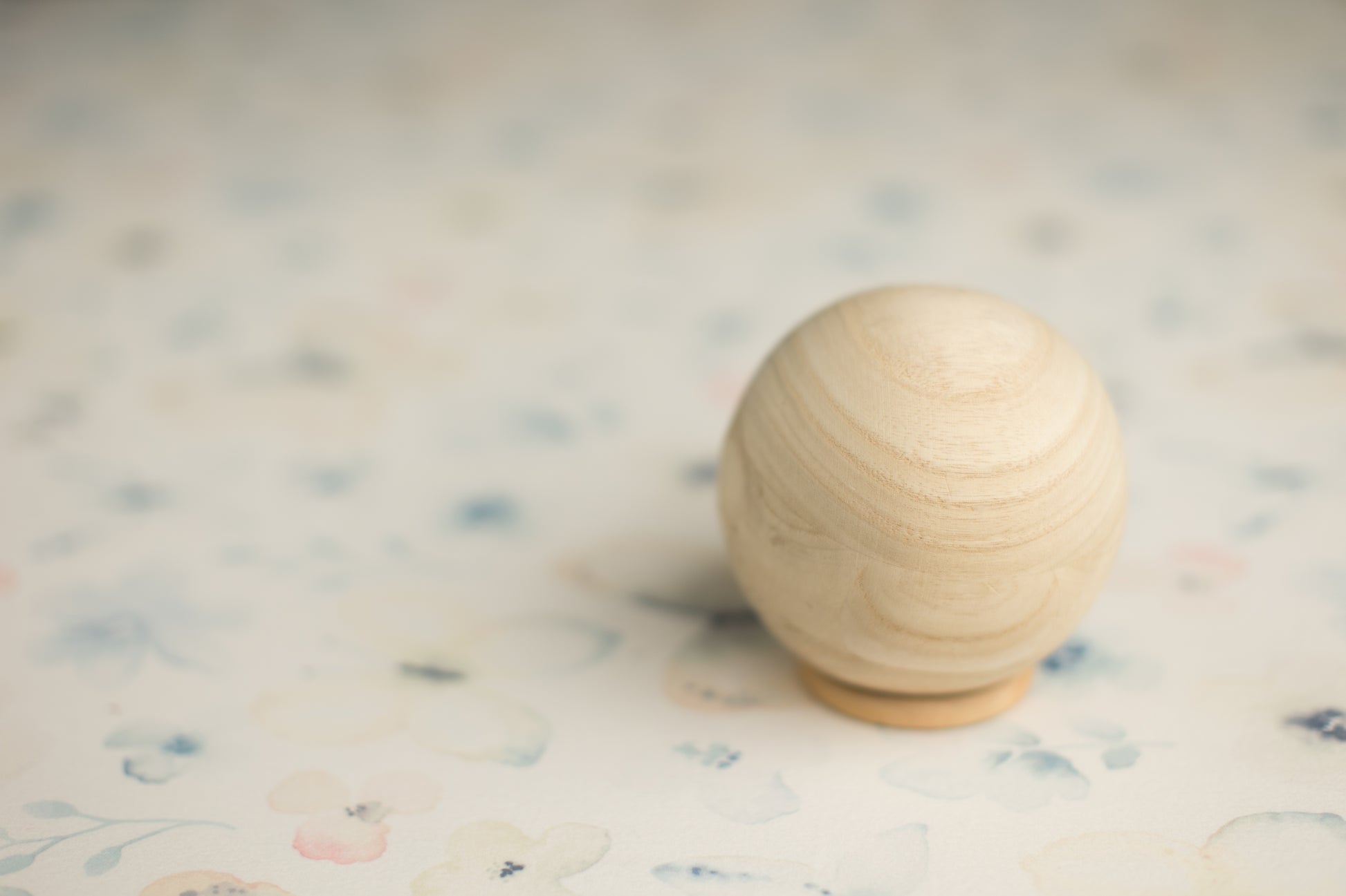 Princess Joey | I Can't Believe It's Butterflies (Preorder)