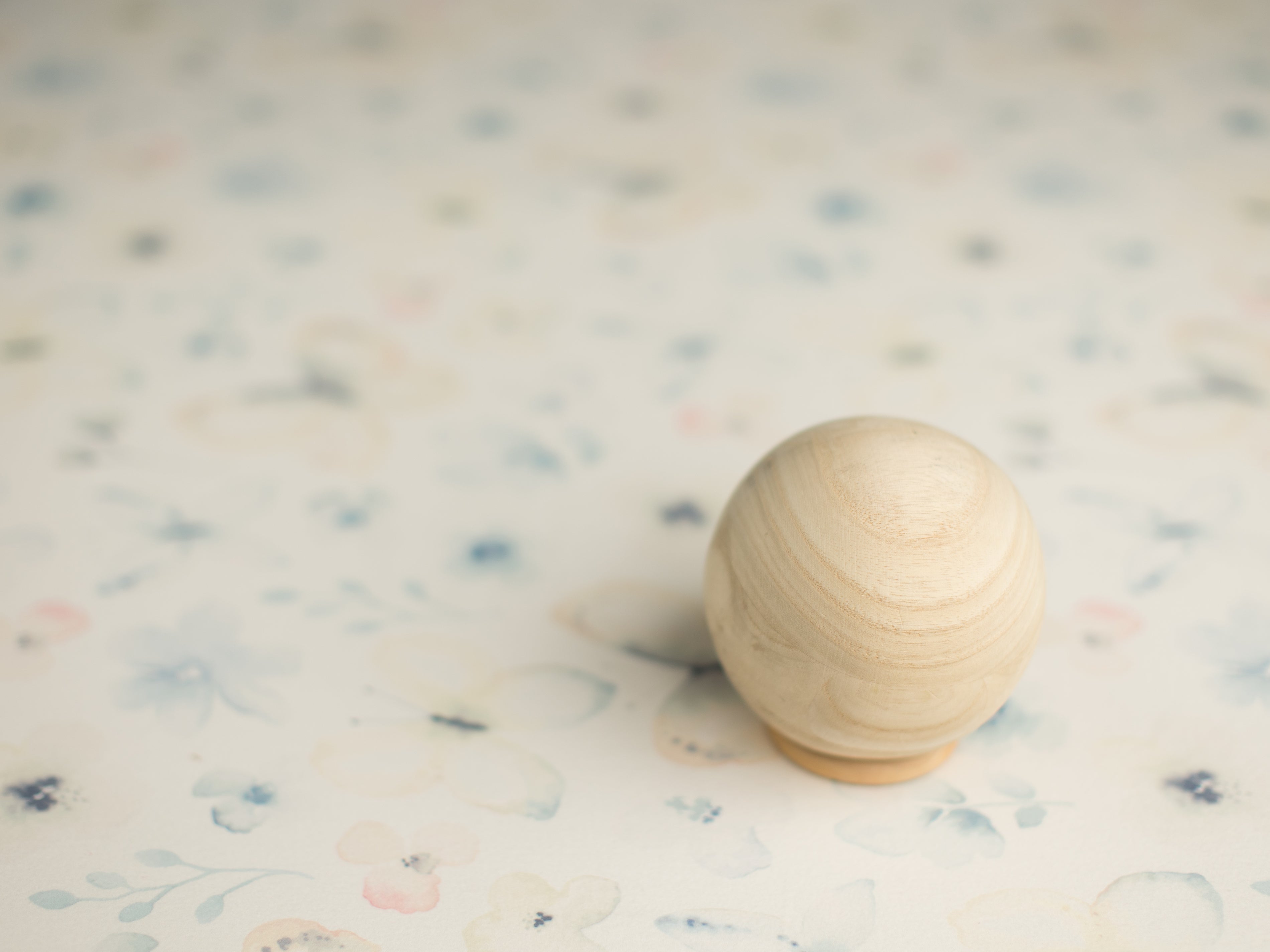 Princess Joey | I Can't Believe It's Butterflies