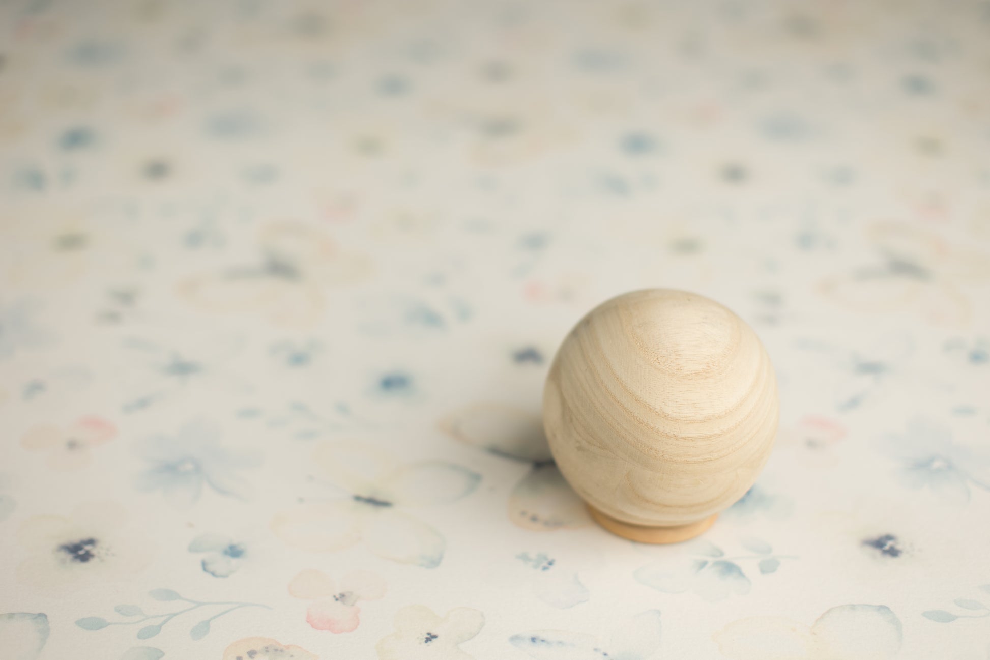 Princess Joey | I Can't Believe It's Butterflies (Preorder)