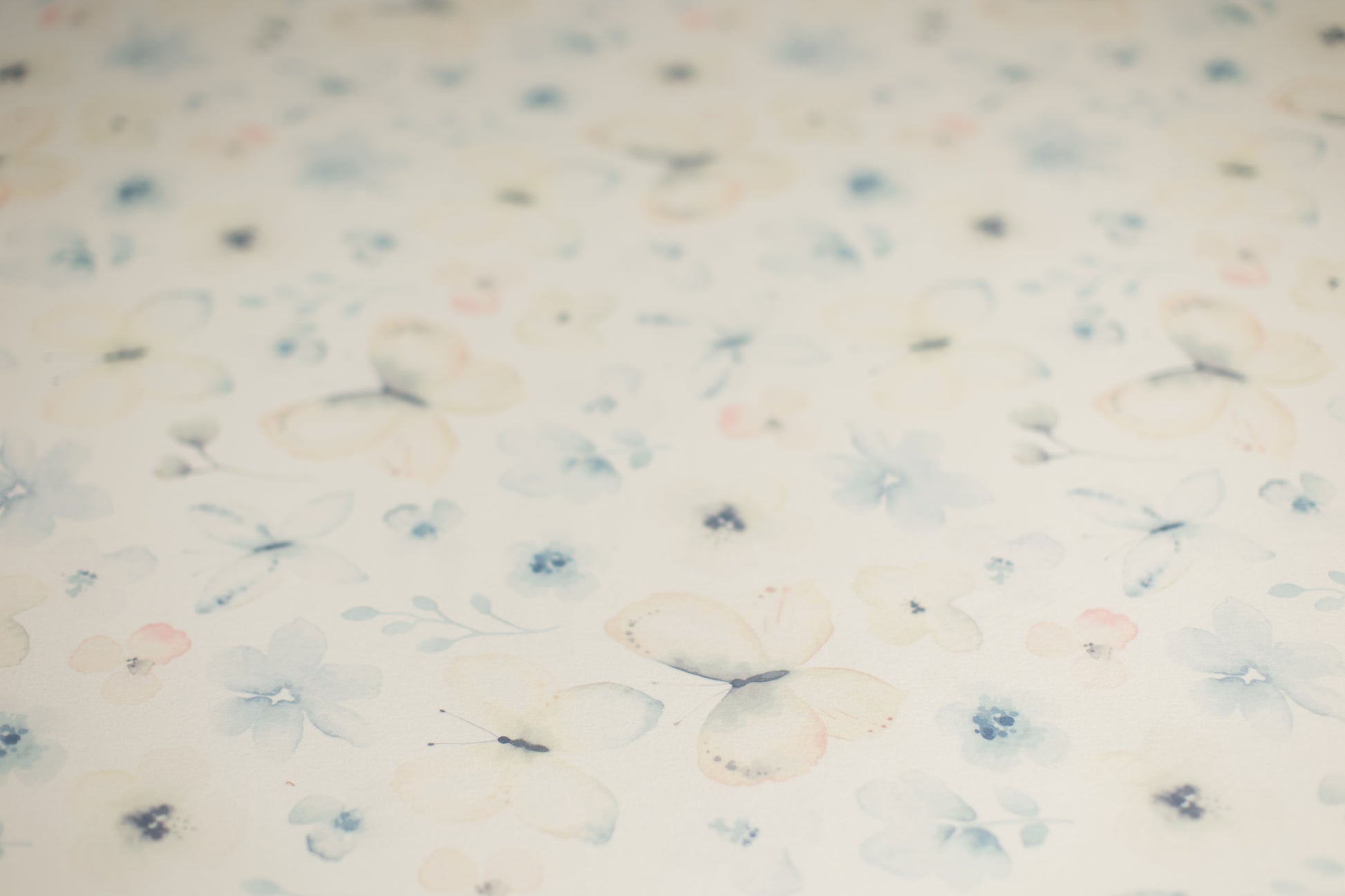 Princess Joey | I Can't Believe It's Butterflies (Preorder)