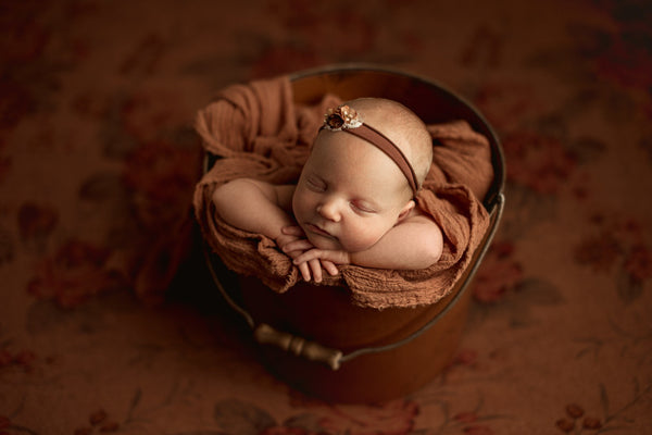 Credit Hello Little Studios