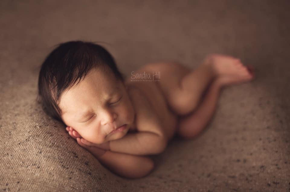 Credit Sandra Hill Photography