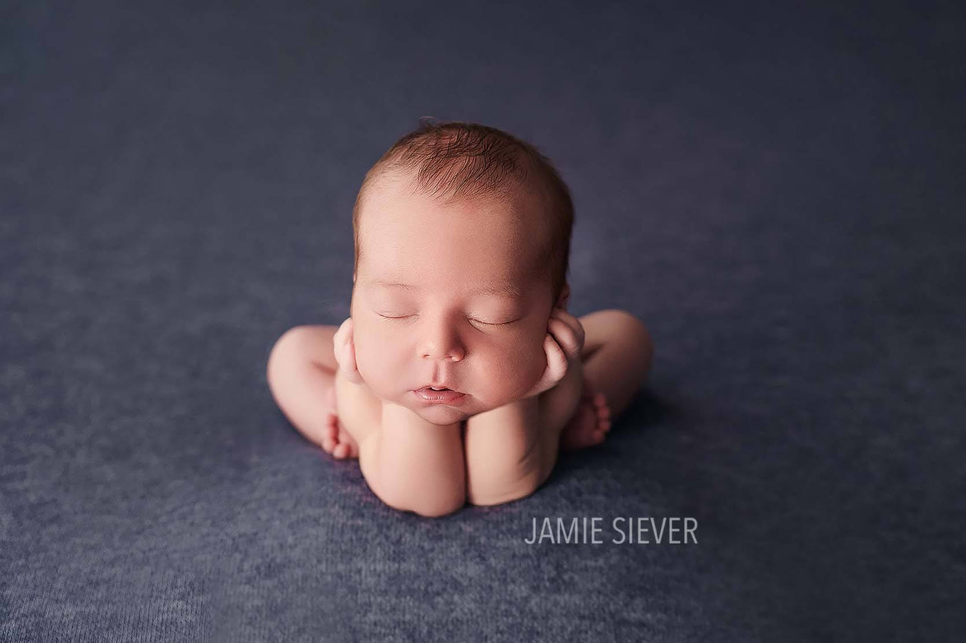 Blue Family blue-family