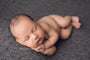 Credit Stephanie Mueller Photography