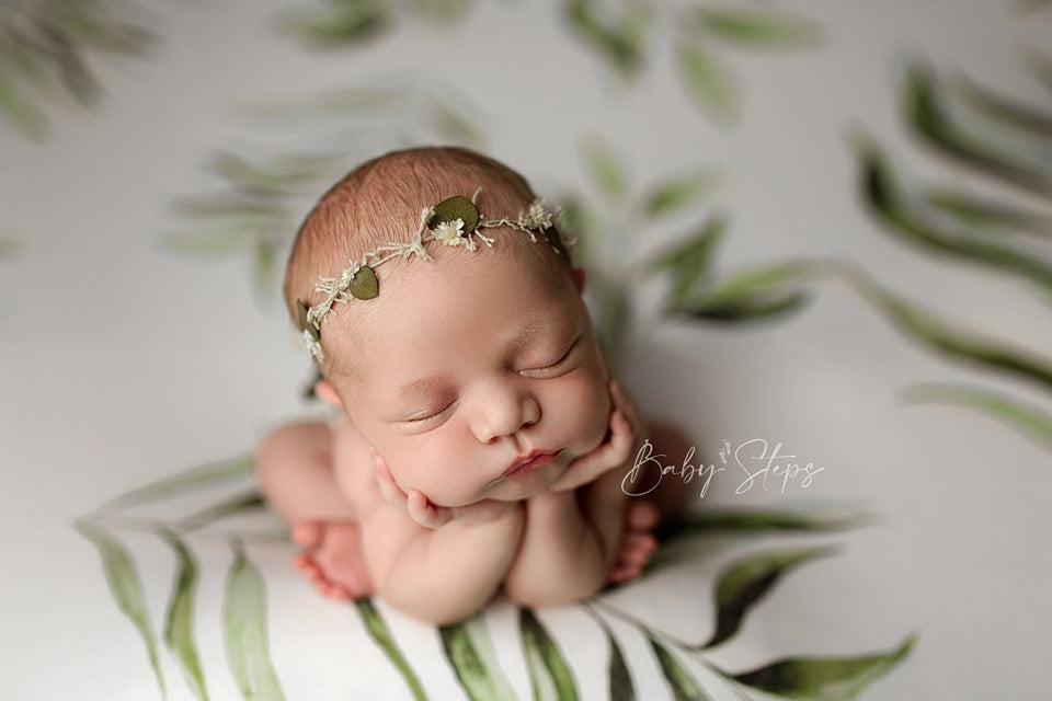 Princess Joey | Planted (Preorder)