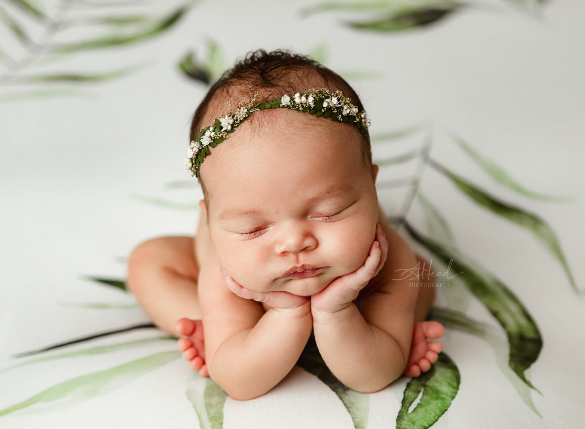 Princess Joey | Planted (Preorder)