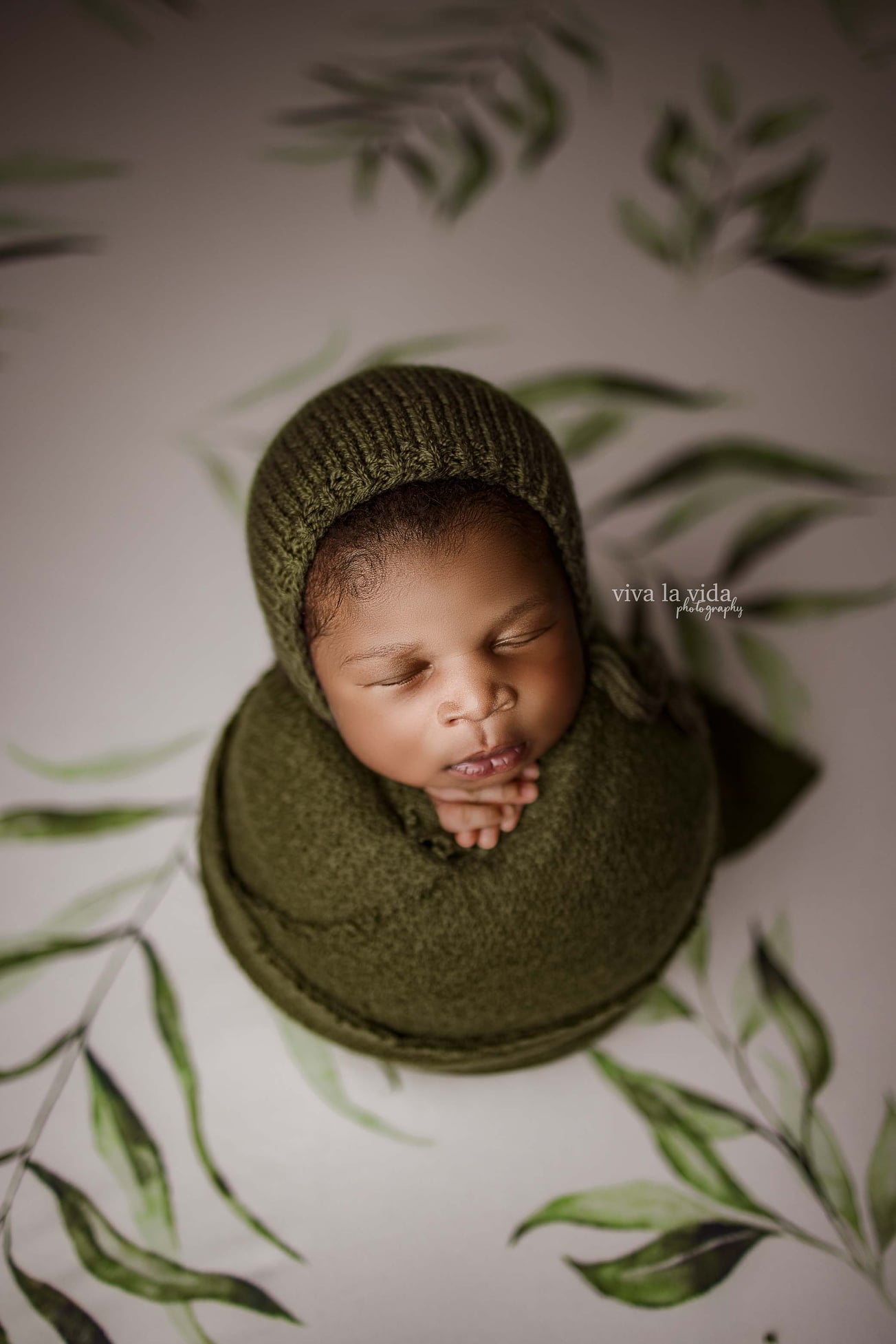 Princess Joey | Planted (Preorder)