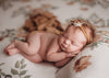 Princess Joey | Sienna-Fabric-Backdrop, Category_Floral, Category_Fuzzy, Color_Green, Color_White, Girl, Line_Princess Line_Joey, Rousewives-Hello Little Props