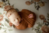 Princess Joey | Sienna-Fabric-Backdrop, Category_Floral, Category_Fuzzy, Color_Green, Color_White, Girl, Line_Princess Line_Joey, Rousewives-Hello Little Props
