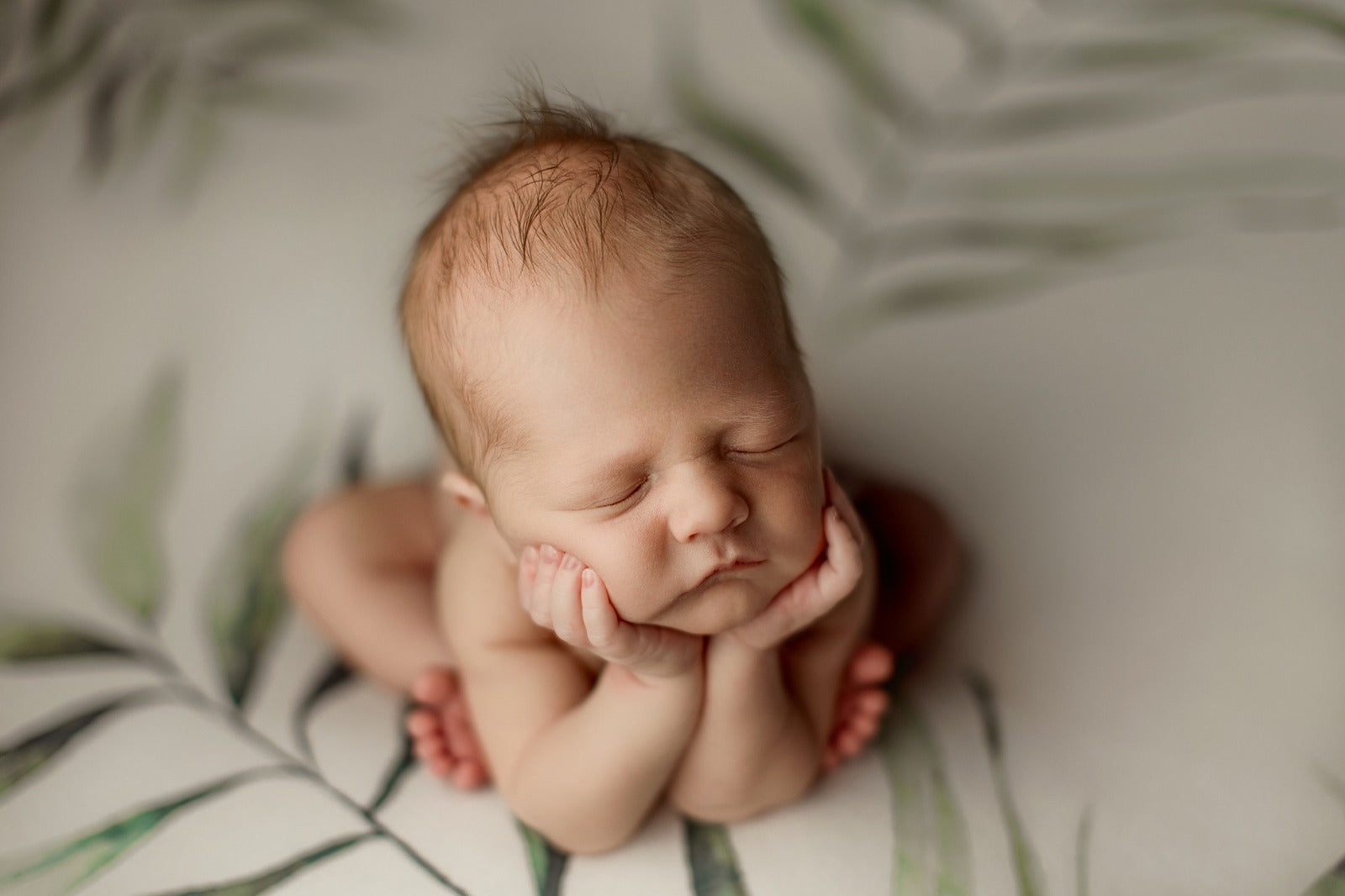 Credit Hello Little Studios