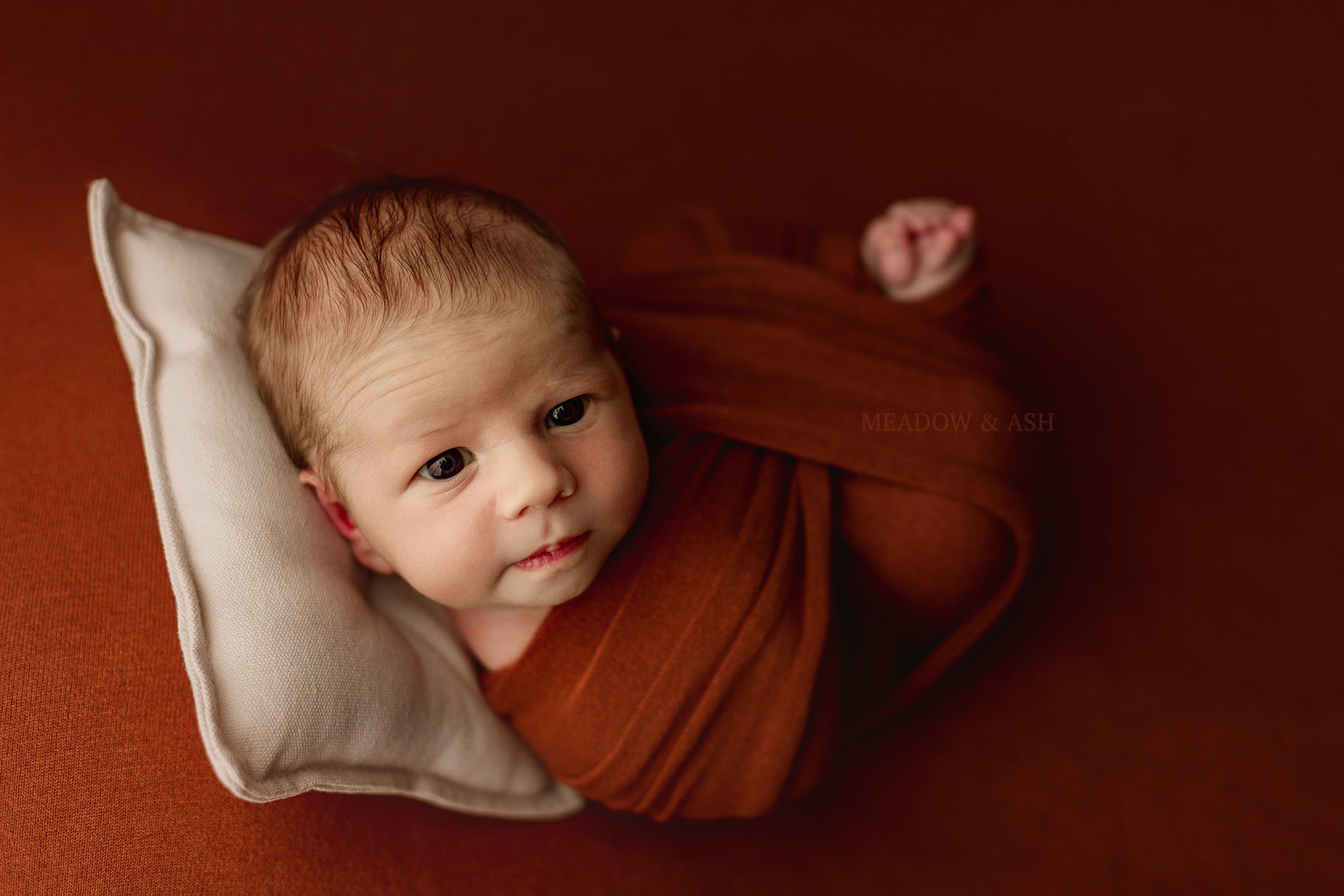 Credit Meadow & Ash Photography
