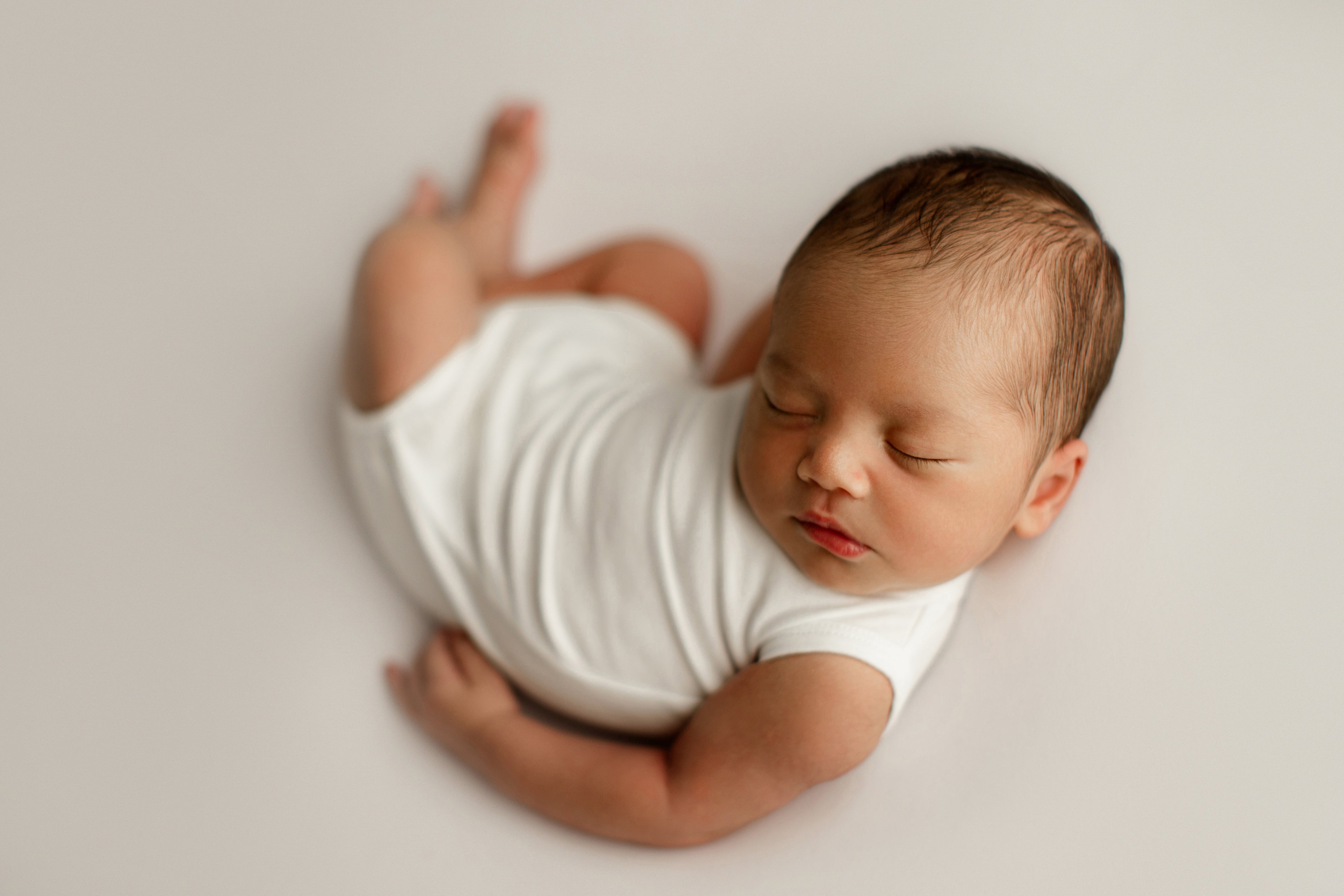 Credit Hello Little Studios